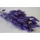 Lagurus 50g lila