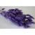 Lagurus 50g lila