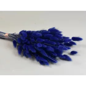 Lagurus 50g kék