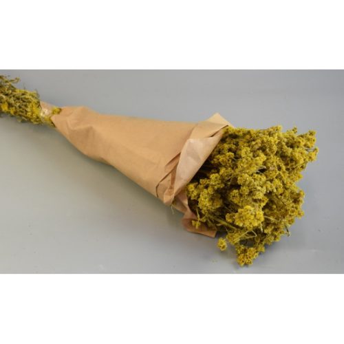 Gypsum 80g papírban sárga