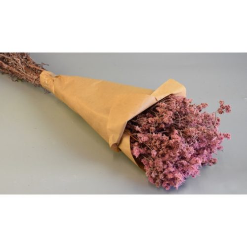 Gypsum 80g papírban rózsaszín