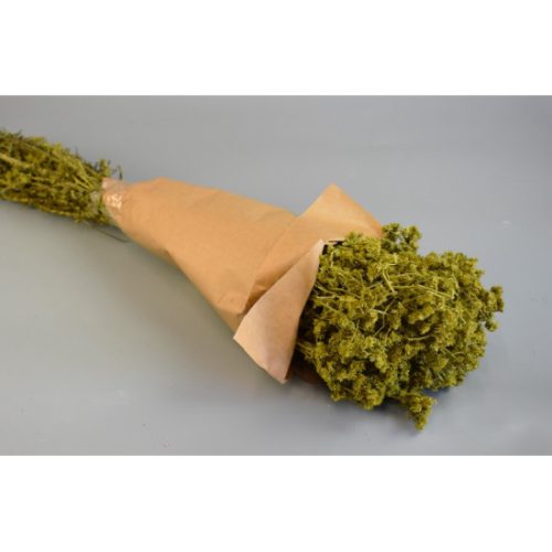 Gypsum 80g papírban lime