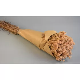 Gypsum 80g papírban barack