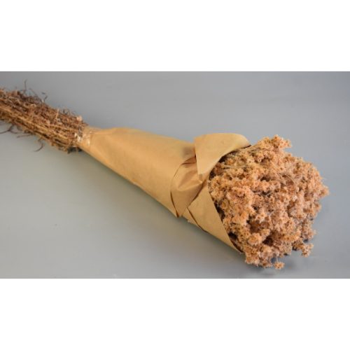 Gypsum 80g papírban barack