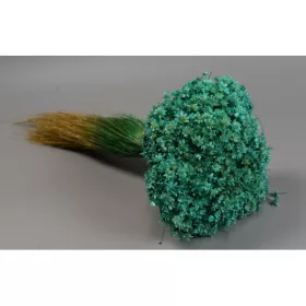 Glixia Marcela 75g türkiz