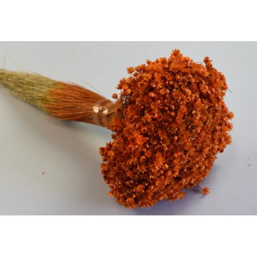 Glixia Marcela 75g narancs