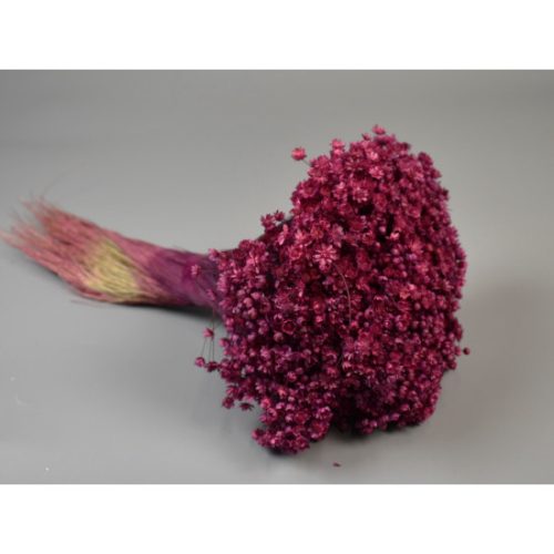 Glixia Marcela 75g bordó