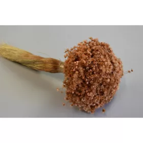 Glixia Marcela 75g barack