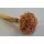 Glixia Marcela 75g barack