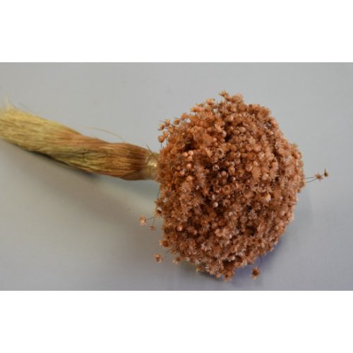 Glixia Marcela 75g barack