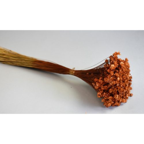 Glixia 50g barna