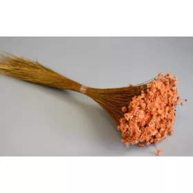 Glixia 50g barack