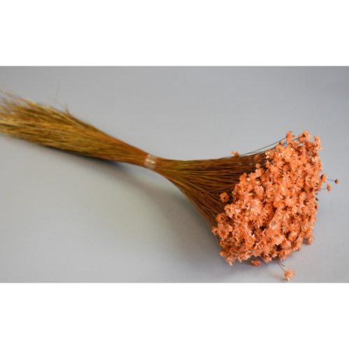 Glixia 50g barack
