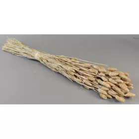 Fénymag 100g zúzmarás