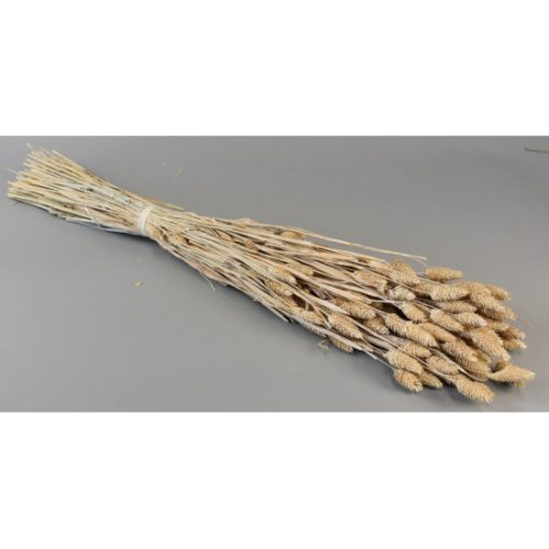 Fénymag 100g zúzmarás