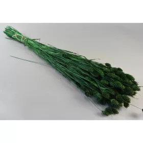 Fénymag 100g söt.zöld