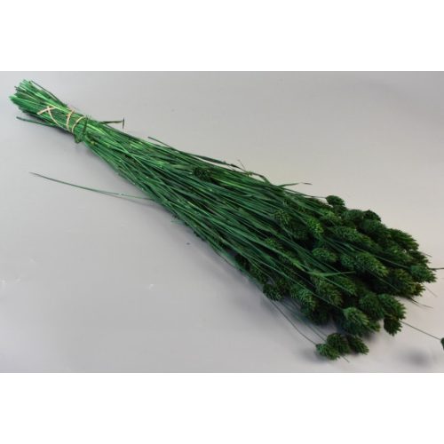Fénymag 100g söt.zöld