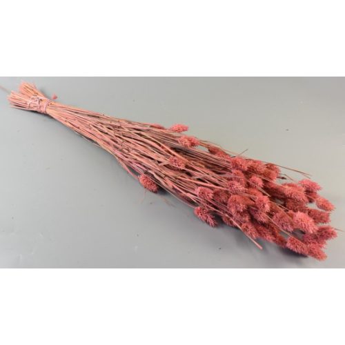 Fénymag 100g rózsaszín