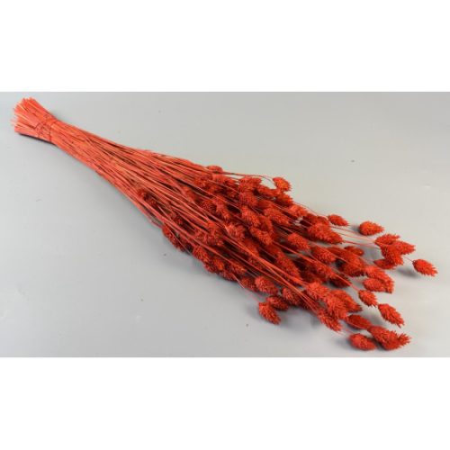 Fénymag 100g piros