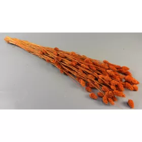 Fénymag 100g narancs