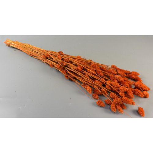 Fénymag 100g narancs