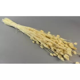 Fénymag 100g fehérített