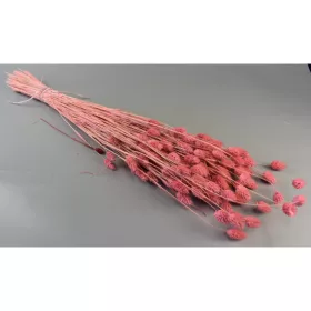Fénymag 100g feh.rózsaszín