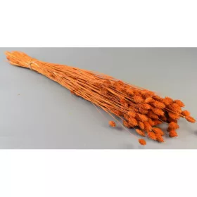 Fénymag 100g feh.narancs