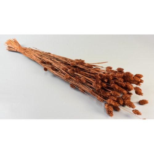 Fénymag 100g barna
