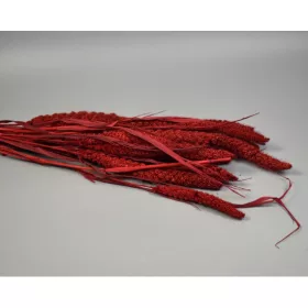 Csumiz 100g piros