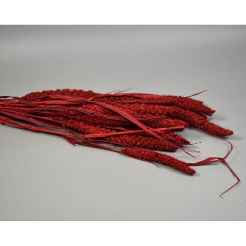 Csumiz 100g piros