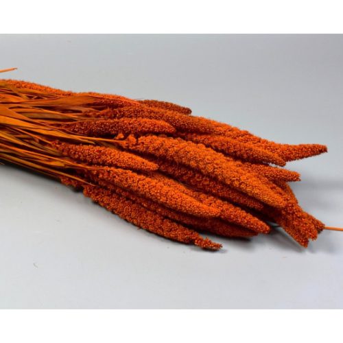 Csumiz 100g narancs