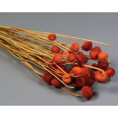 Cicek 80g narancs