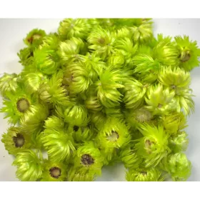 Capblume fej lime