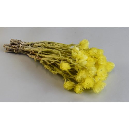 Capblume csokor 30-40cm sárga