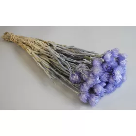 Capblume csokor 30-40cm lila