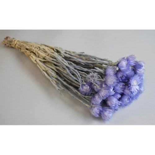 Capblume csokor 30-40cm lila