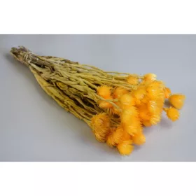 Capblume csokor 30-40cm barack