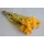 Capblume csokor 30-40cm barack