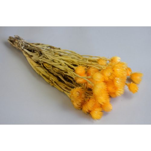 Capblume csokor 30-40cm barack