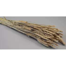 Búza tar 150g zúzmarás