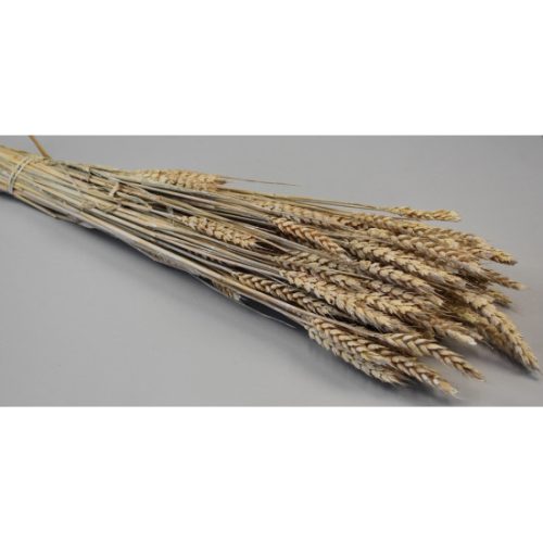Búza tar 150g zúzmarás