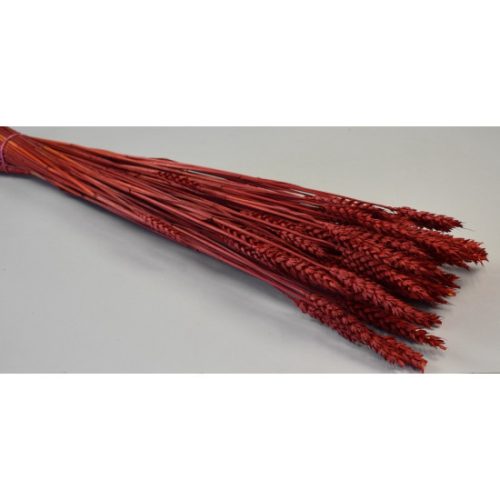 Búza tar 150g piros