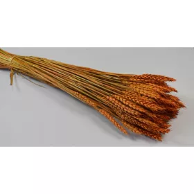 Búza tar 150g narancs