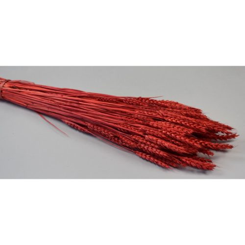 Búza tar 150g feh.piros