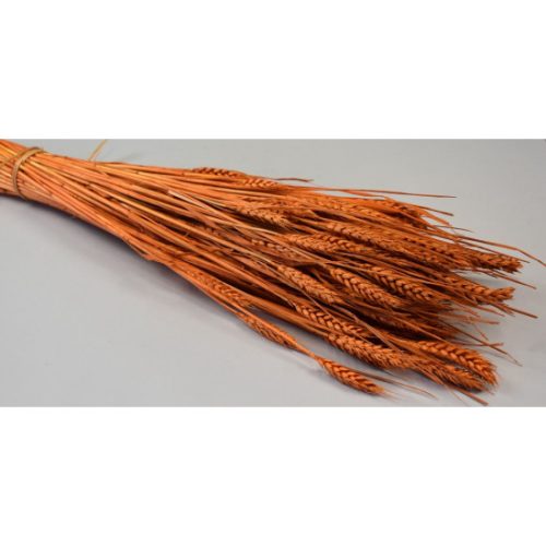Búza tar 150g feh.narancs