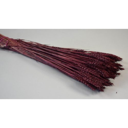 Búza tar 150g bordó