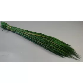 Búza szakállas 150g söt.zöld