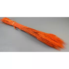 Búza szakállas 150g feh.narancs