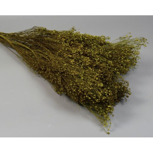 Broom Bloom 100g vil.zöld